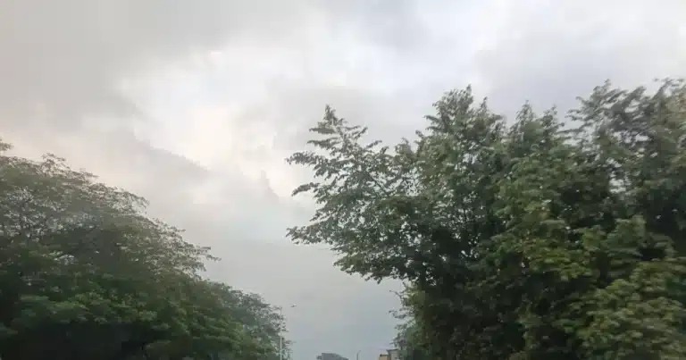prevén lluvias ligeras para este día