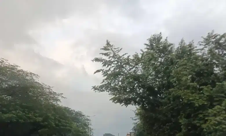 prevén lluvias ligeras para este día