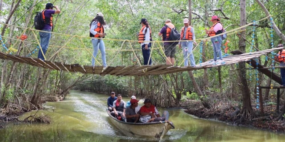 promueve amav paquetes turísticos em diversos estados para atraer visitantes