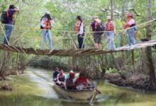 promueve amav paquetes turísticos em diversos estados para atraer visitantes