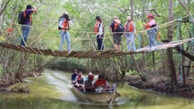 promueve amav paquetes turísticos em diversos estados para atraer visitantes