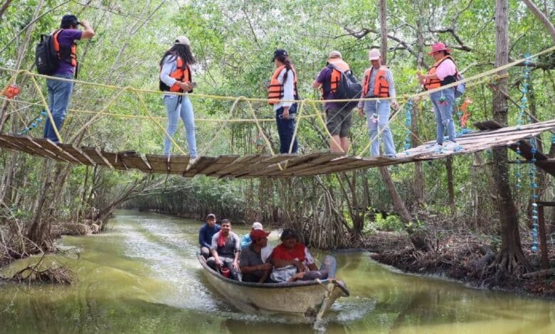 promueve amav paquetes turísticos em diversos estados para atraer visitantes