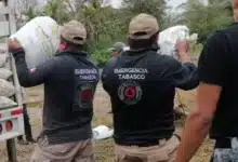 refuerzan bordo critico en teapa