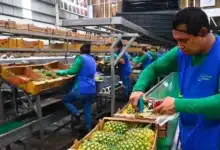 tabasco alista cierre de 2026 y arranque de 2027 con impulso económico