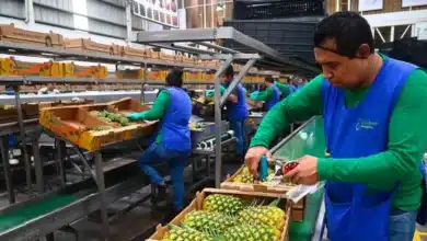 tabasco alista cierre de 2026 y arranque de 2027 con impulso económico