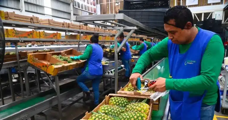 tabasco alista cierre de 2026 y arranque de 2027 con impulso económico