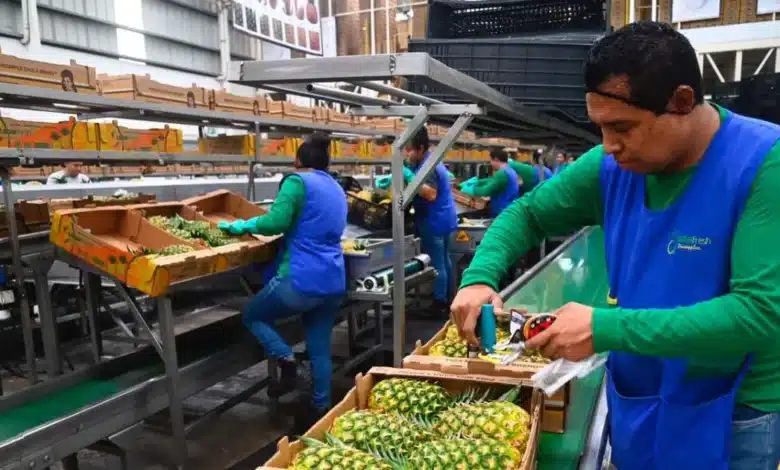 tabasco alista cierre de 2026 y arranque de 2027 con impulso económico