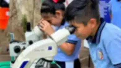Tabasco impulsa a sus jóvenes talentos de la ciencia