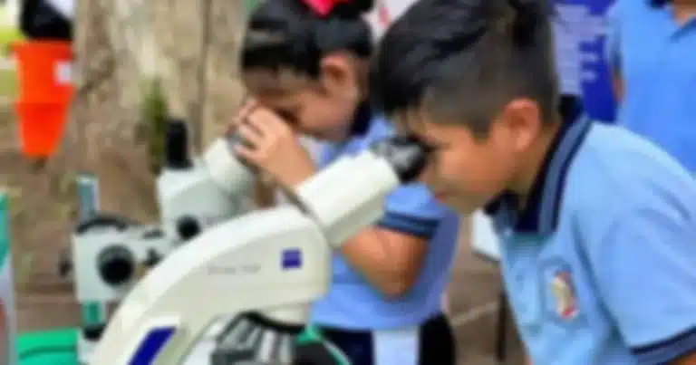 Tabasco impulsa a sus jóvenes talentos de la ciencia