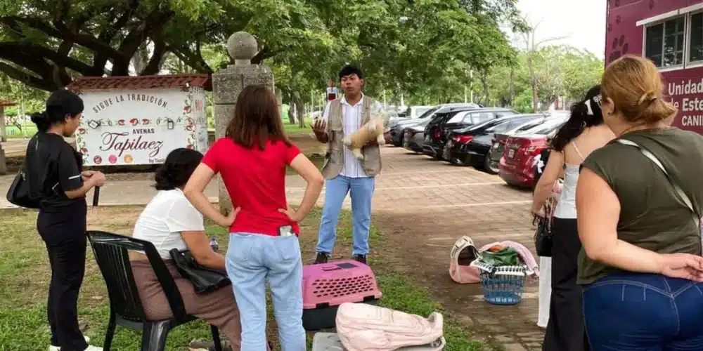 unidad móvil rebasa las 4 mil esterilizaciones en centro