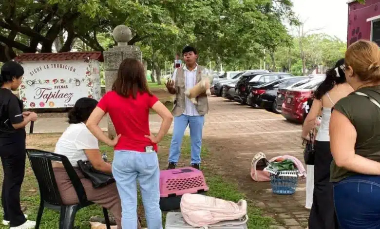 unidad móvil rebasa las 4 mil esterilizaciones en centro