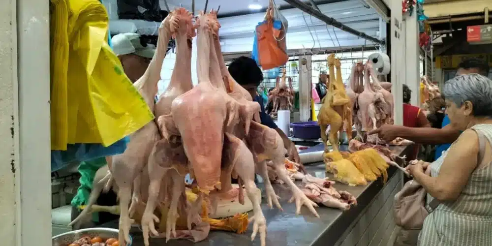 venta de pollo y gallina aumenta precios por día de muertosventa de pollo y gallina aumenta precios por día de muertos