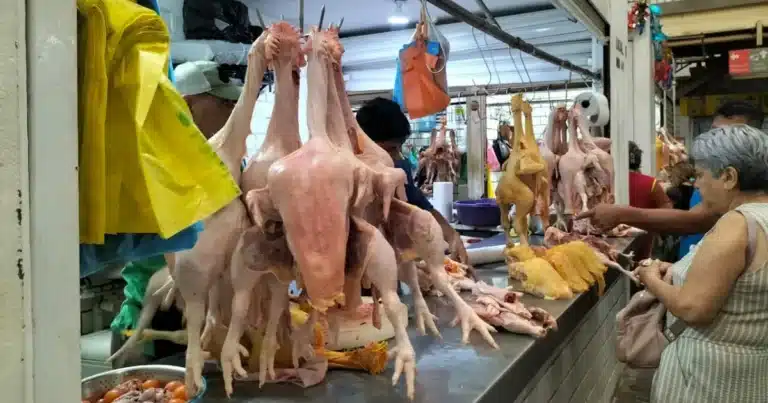 venta de pollo y gallina aumenta precios por día de muertosventa de pollo y gallina aumenta precios por día de muertos