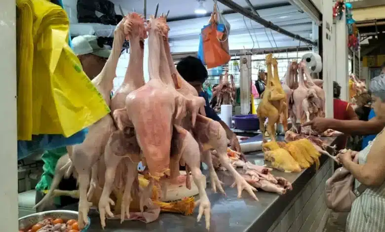 venta de pollo y gallina aumenta precios por día de muertosventa de pollo y gallina aumenta precios por día de muertos