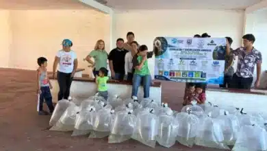 vida y esperanza que fluye desde el laboratorio