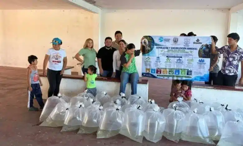 vida y esperanza que fluye desde el laboratorio