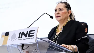 anuncia guadalupe taddei su renuncia al ine