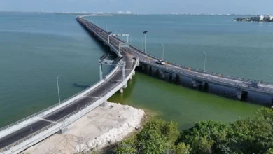 distribuidor vial kukulcán en cancún registra 74 de avance