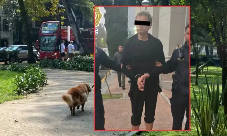 Detienen a presunto envenenador de perros en Condesa, CDMX (Fotos de Daniel Escobar y redes sociales)