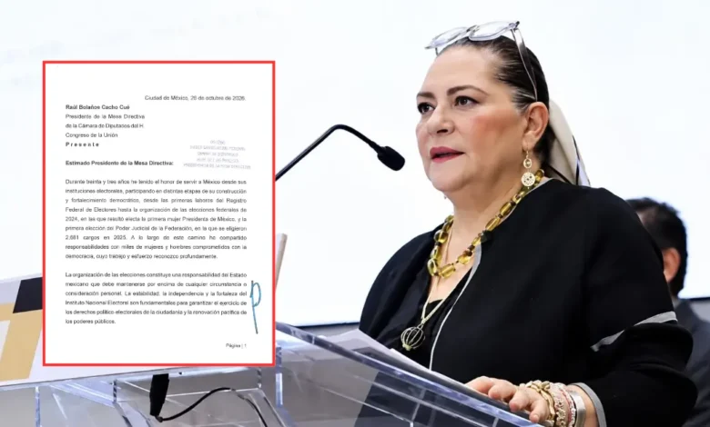 recibe cámara de diputados renuncia de guadalupe taddei
